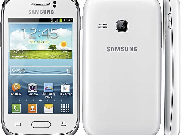 Samsung Galaxy Young S6310